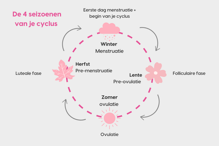 Hormoon cyclus uitgelegd