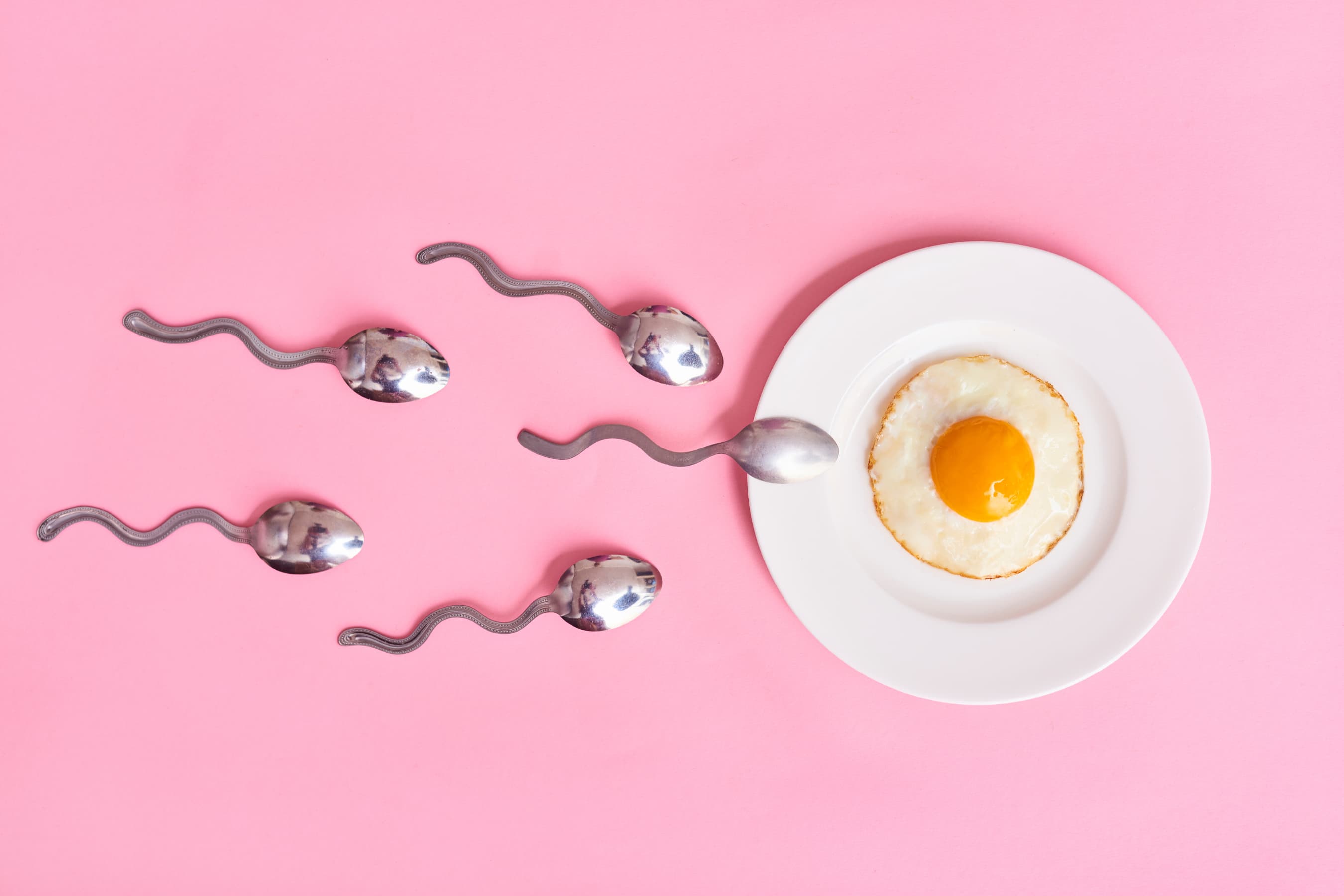 Ovulatie of eisprong: zo verloopt dit