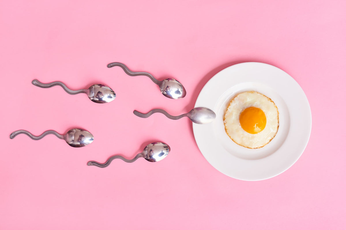 Ovulatie of eisprong: zo verloopt dit