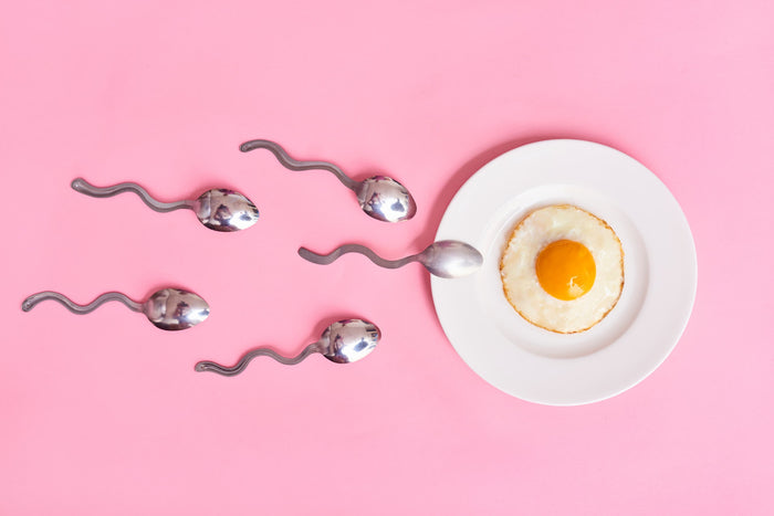 Ovulatie of eisprong: zo verloopt dit